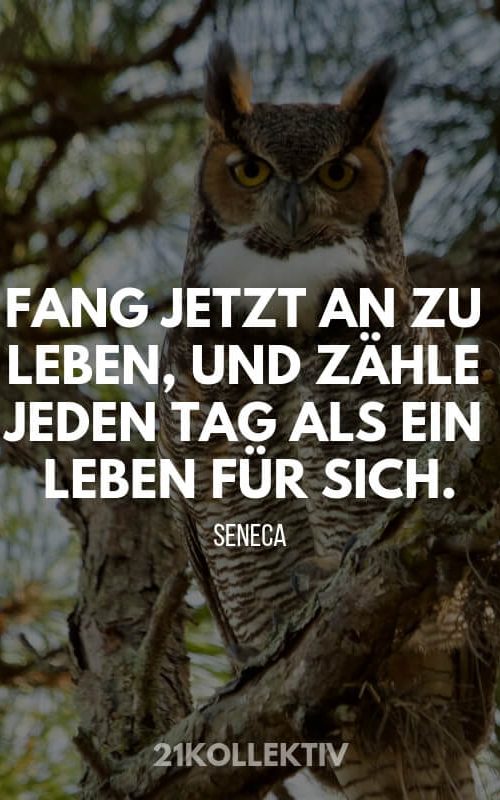 Seneca_Weisheiten5