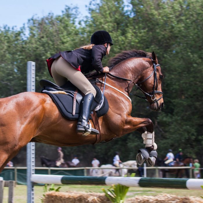 person-riding-a-horse-1559388