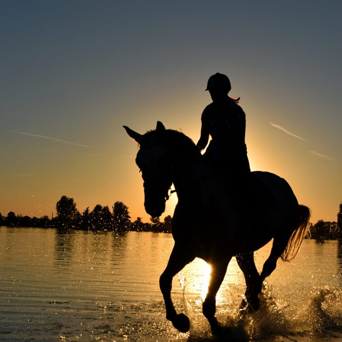 silhouette-of-person-riding-horse-on-body-of-water-under-210237