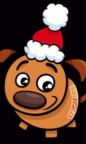 weihnachtshund-welpe-0053