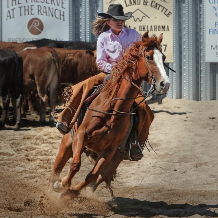 woman-in-pink-dress-shirt-riding-on-brown-horse-53142