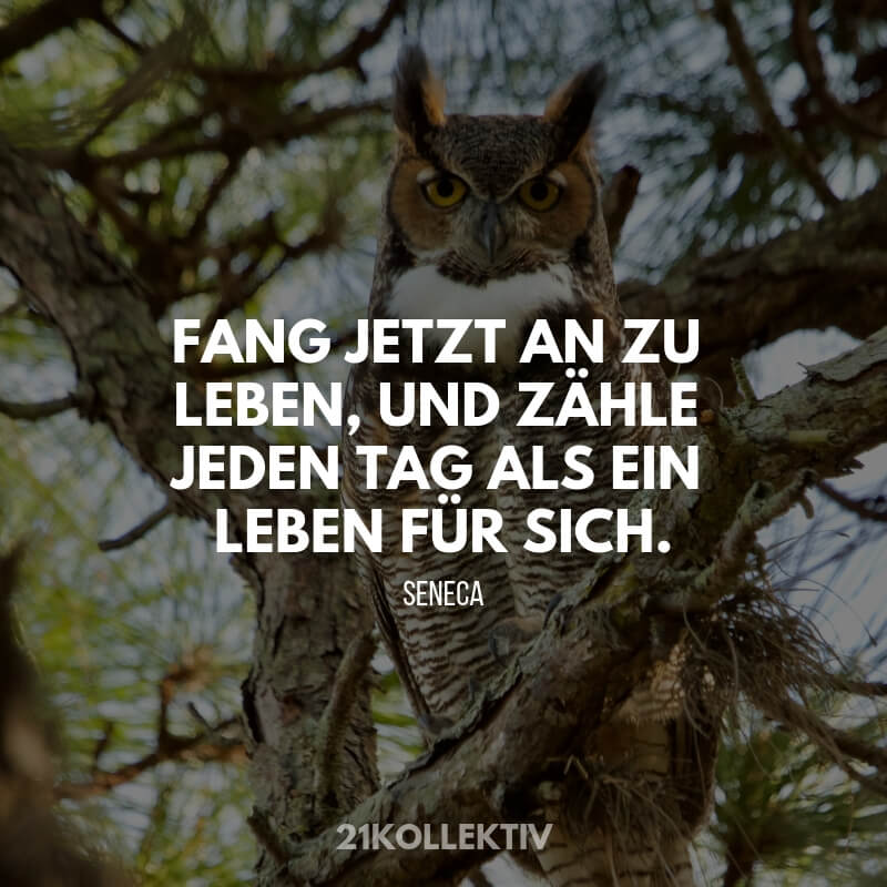 Seneca_Weisheiten5