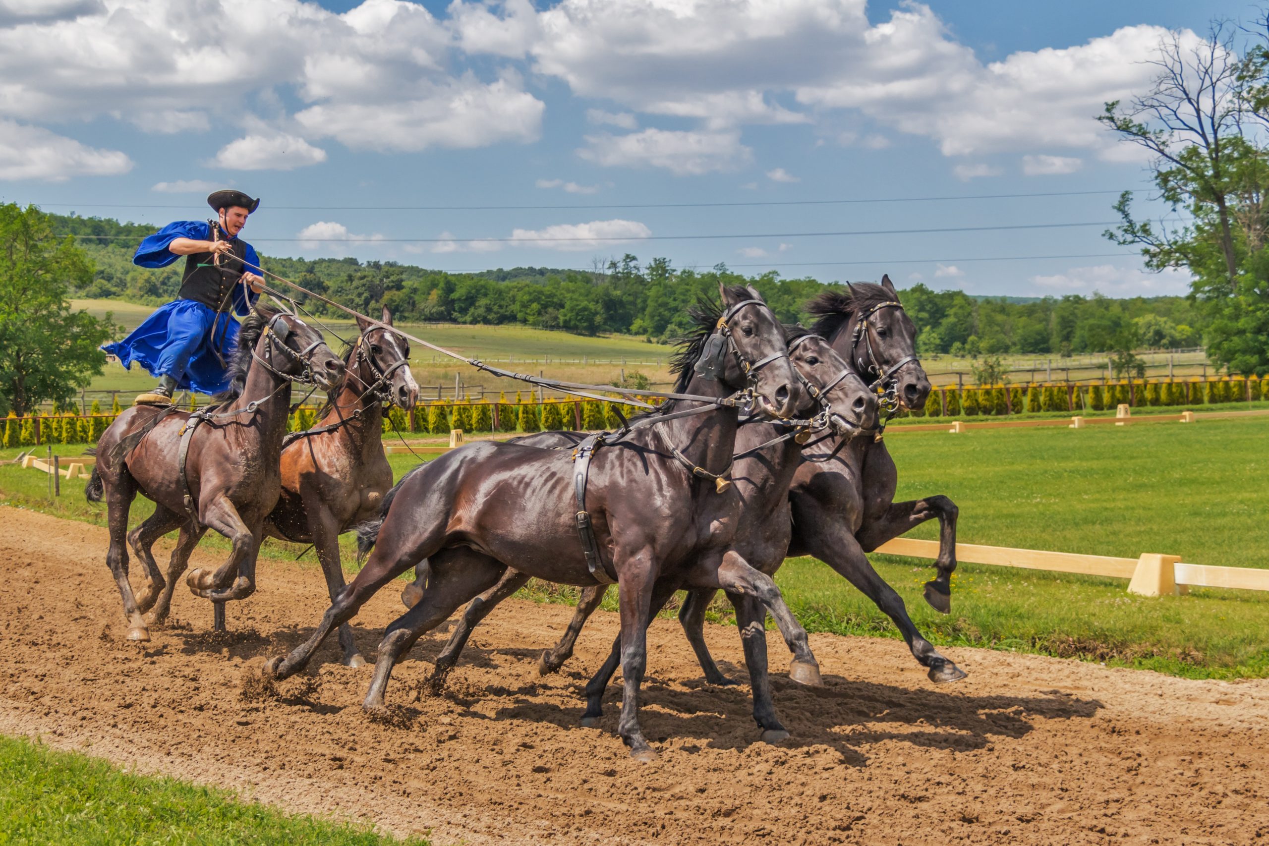 person-in-blue-dress-standing-on-2-horse-following-3-horse-53489